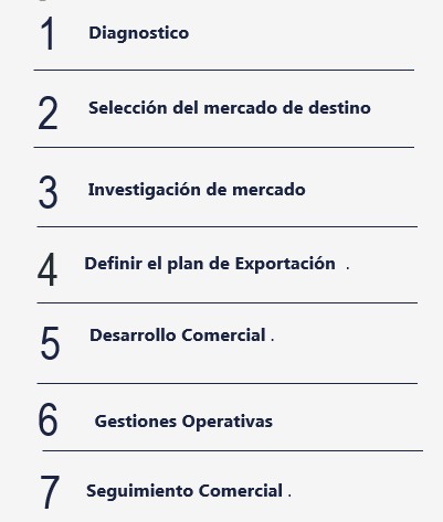 etapa de una consultoría en comercio internacional