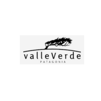 Experiencia profesional Vortex Consulting 3