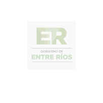 Experiencia profesional Vortex Consulting 8