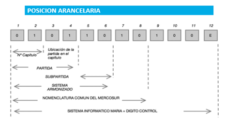 Posición arancelaria de un producto de exportación