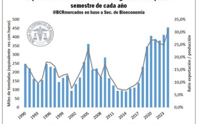 Exportaciones record en Argentina – Un sector para investigar.